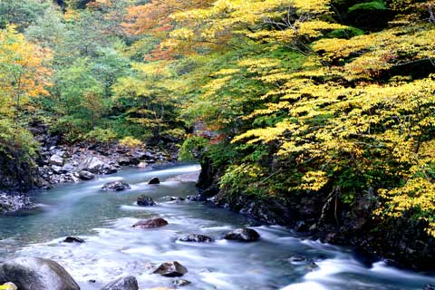 白骨温泉